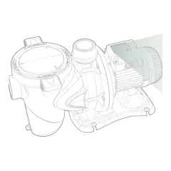 Dab Euroswim havuz pompası üstten görünüm, ön filtre kapağı ve motor etiketi konumu